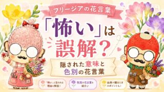 フリージアの花言葉「怖い」は誤解？隠された意味と色別の花言葉