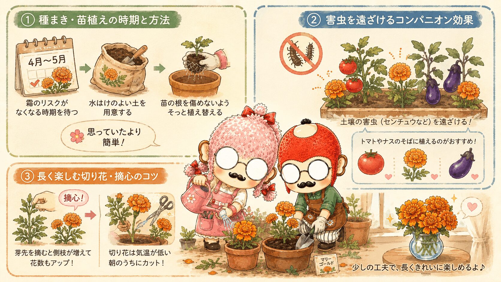 マリーゴールドの育て方