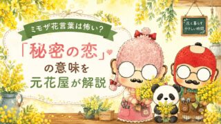 ミモザの花言葉は怖い?「秘密の恋」の意味を元花屋が解説