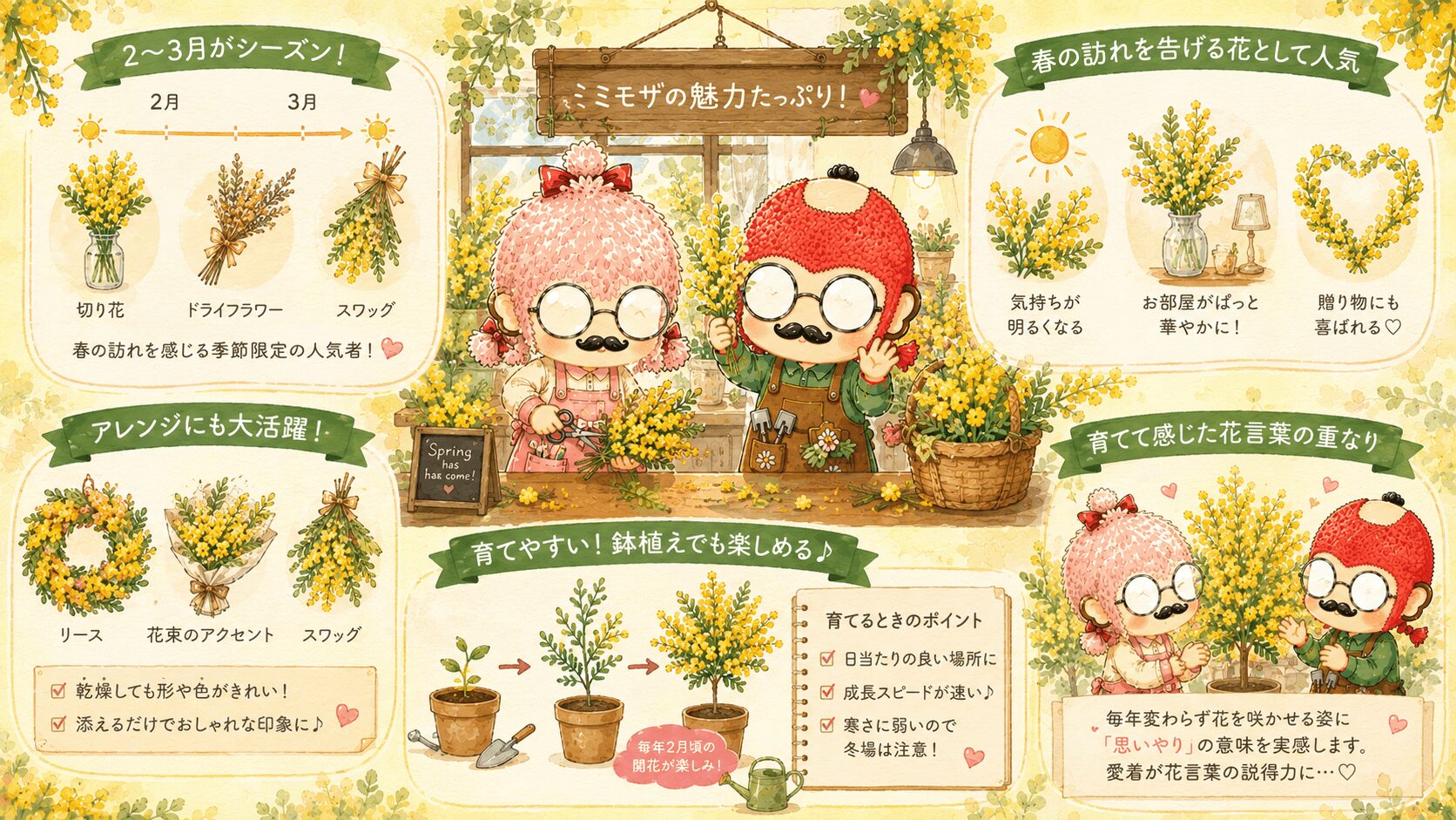 ミモザの魅力