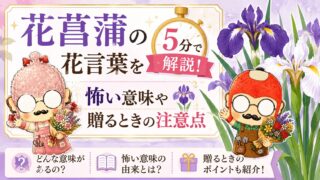 花菖蒲の花言葉を5分で解説！怖い意味や贈るときの注意点