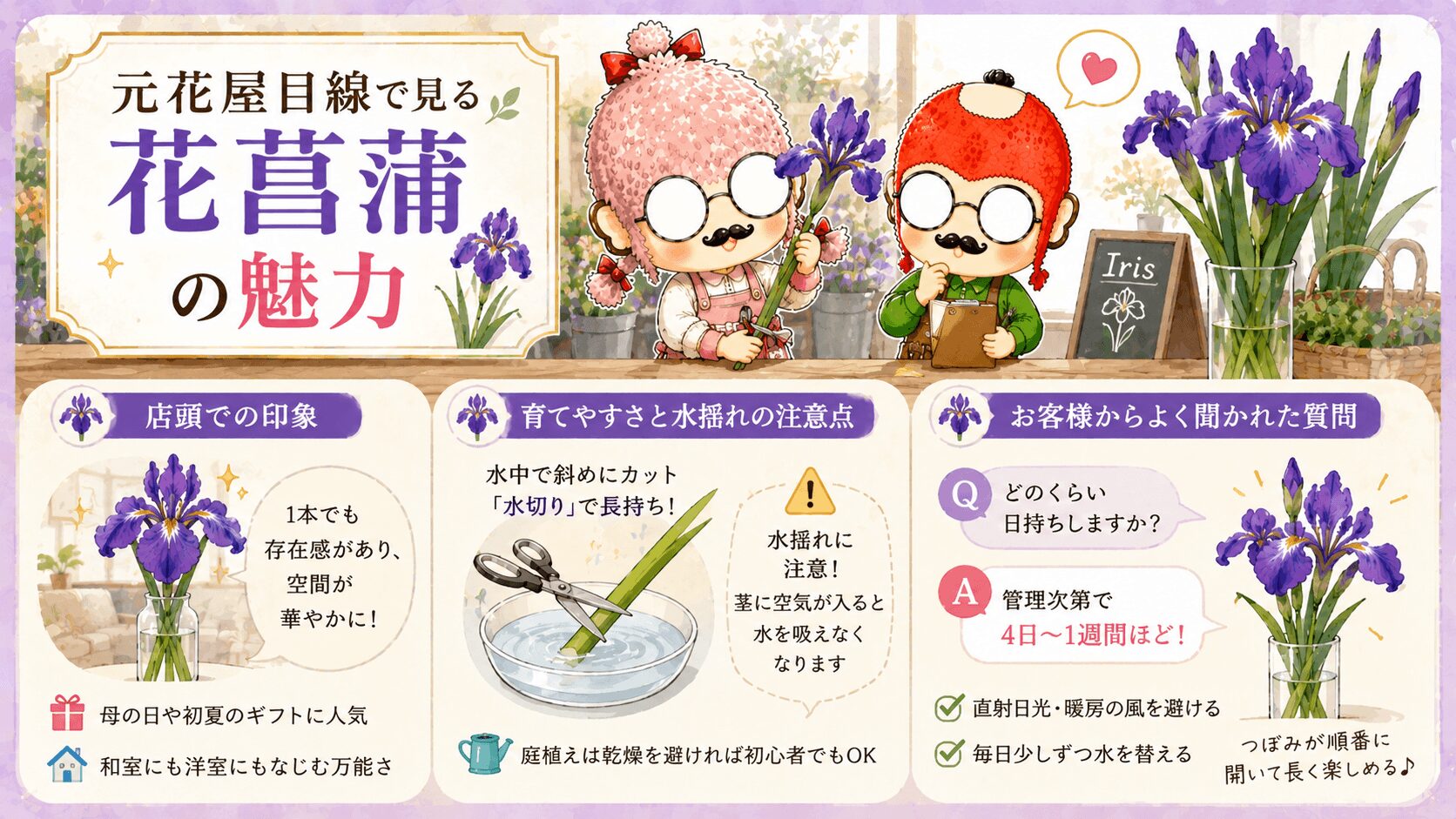 花菖蒲の魅力
