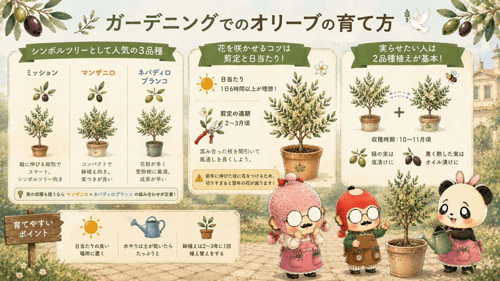 オリーブの育て方