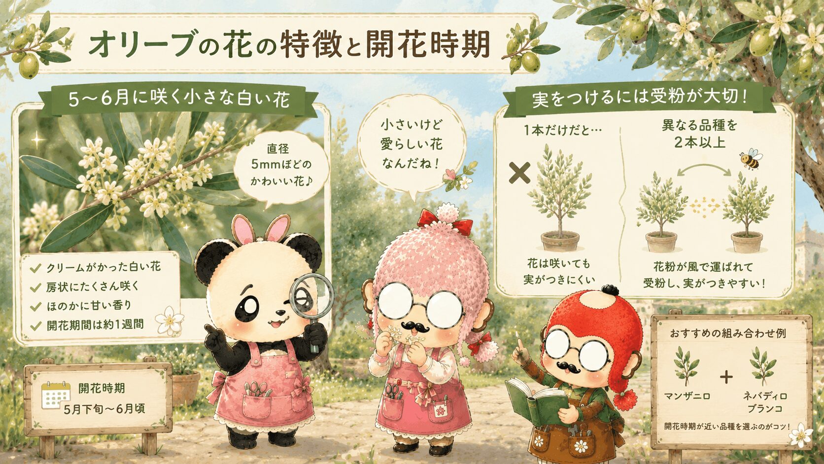 オリーブの花の特徴と開花時期