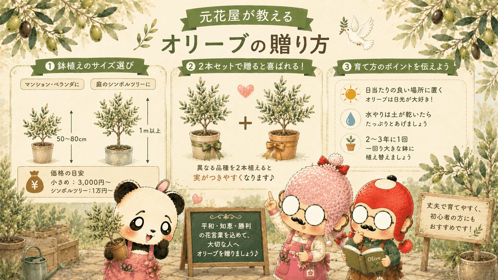 オリーブの贈り方