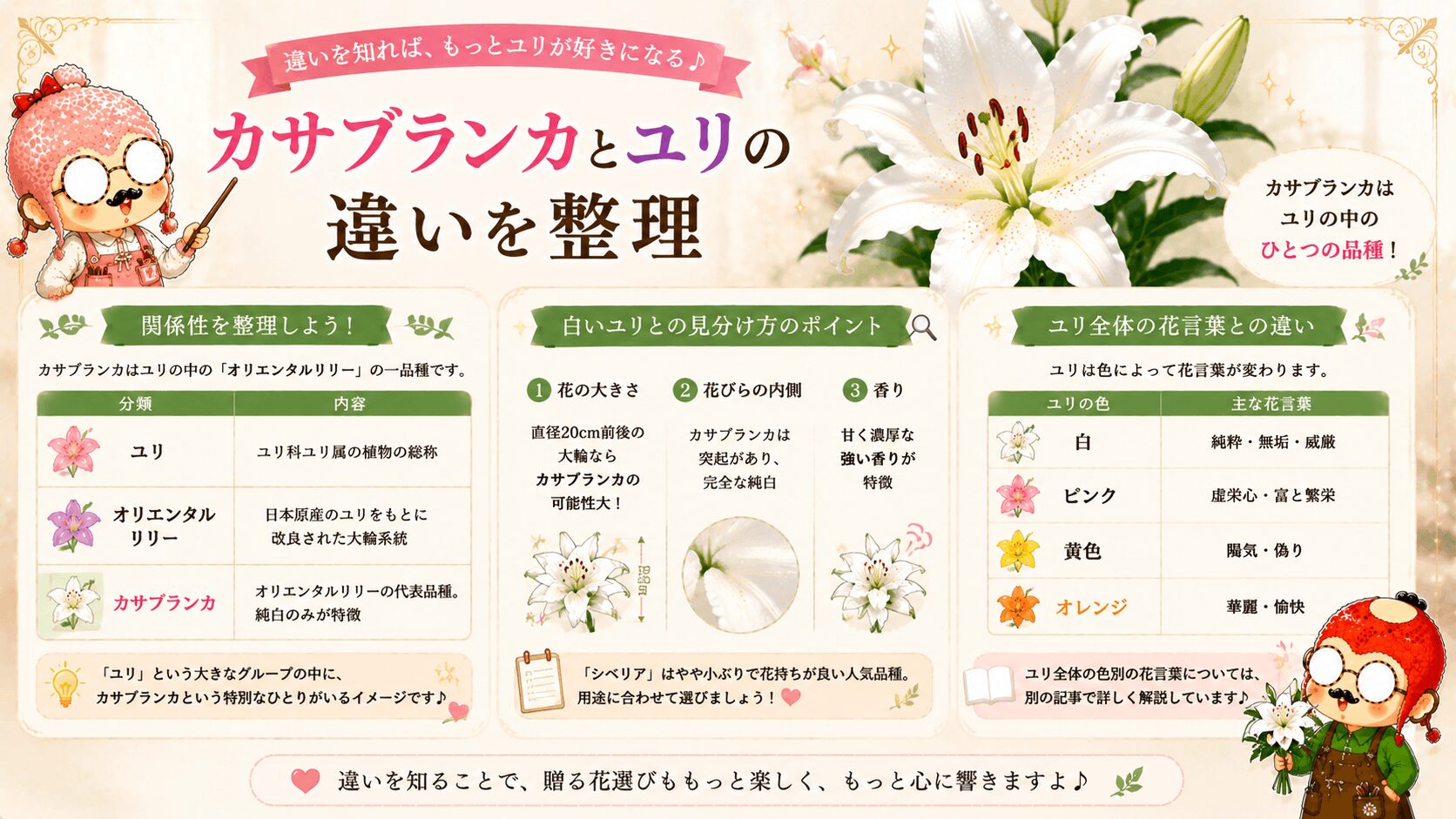 カサブランカとユリの違い
