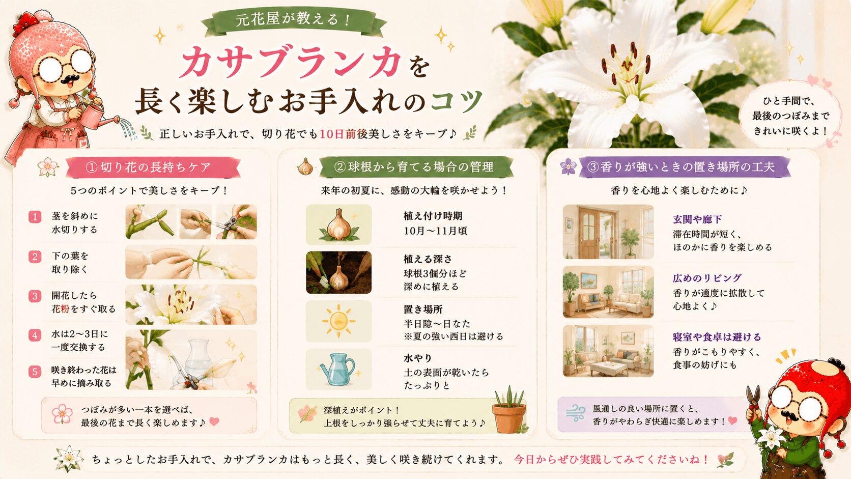 カサブランカのお手入れ方法