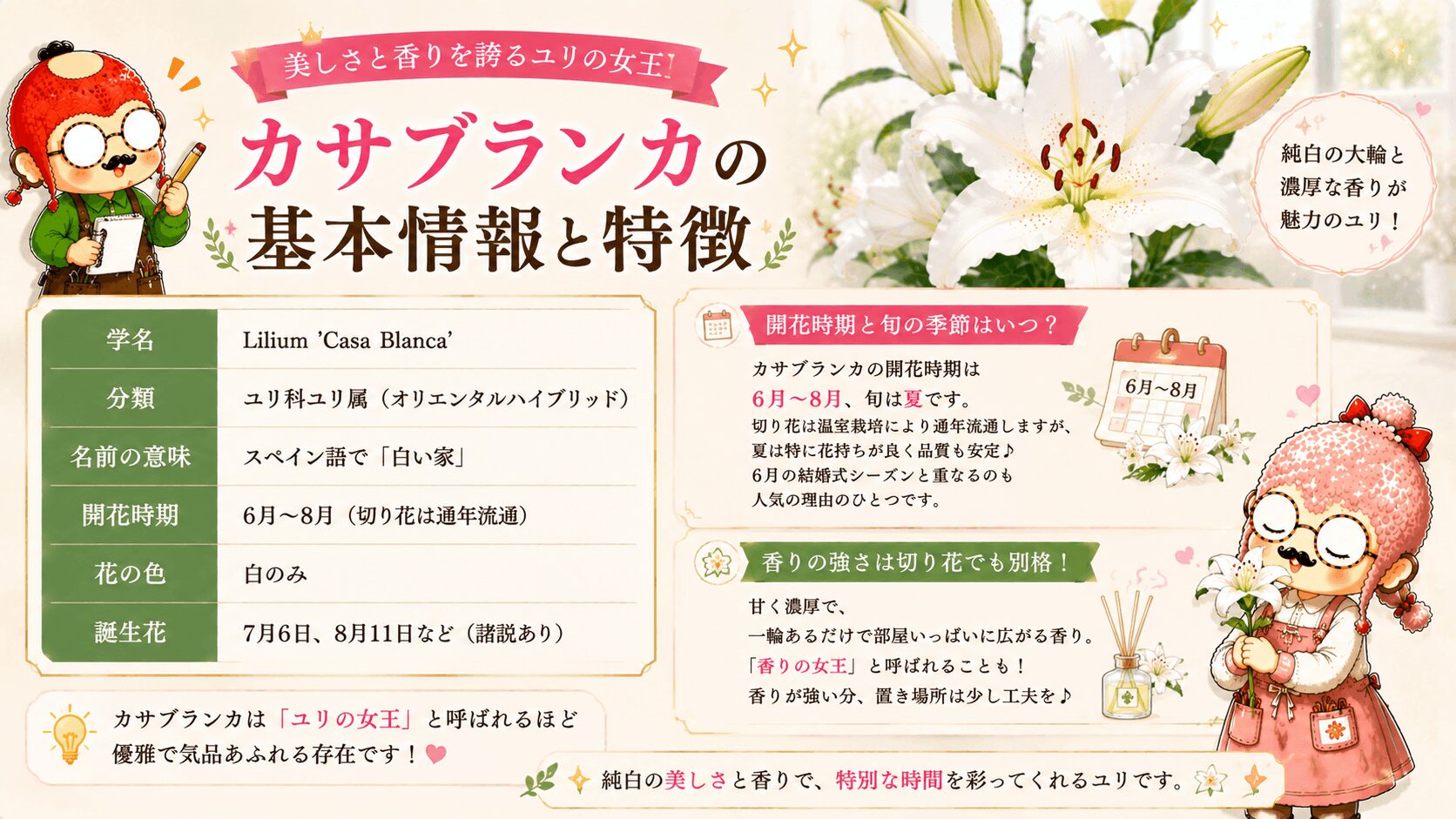 カサブランカの基本情報
