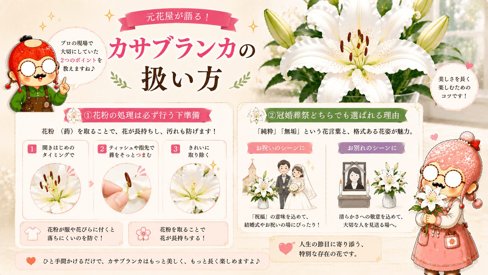 カサブランカの扱い方