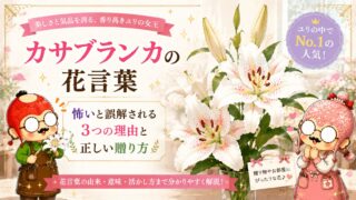 カサブランカの花言葉|怖いと誤解される3つの理由と正しい贈り方