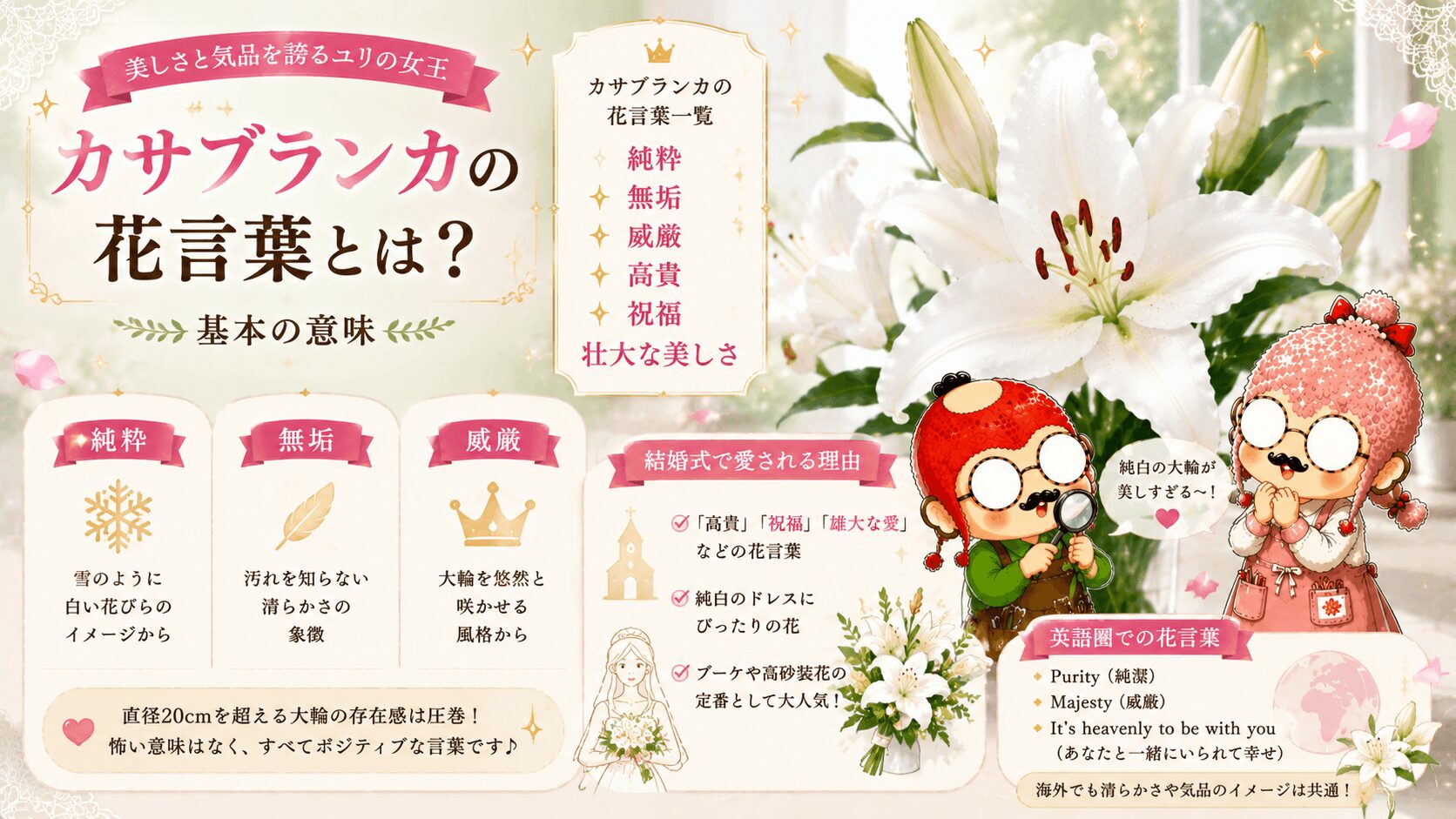 カサブランカの花言葉とは