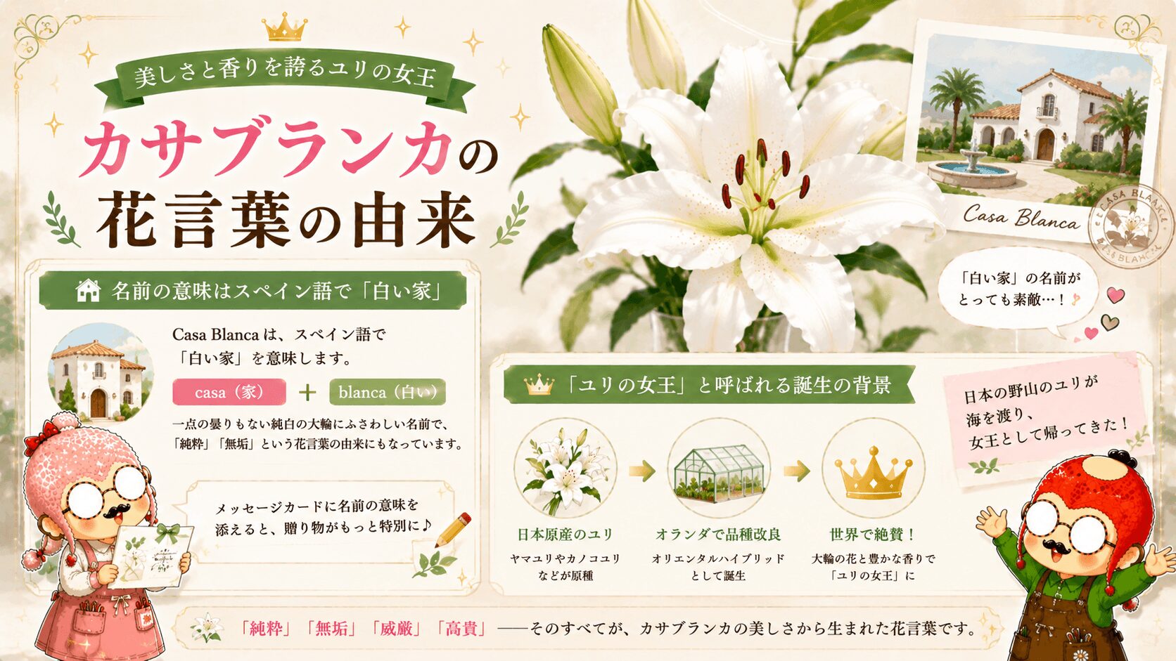 カサブランカの花言葉の由来
