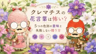 クレマチスの花言葉は怖い？５つの色別の意味と失敗しない贈り方