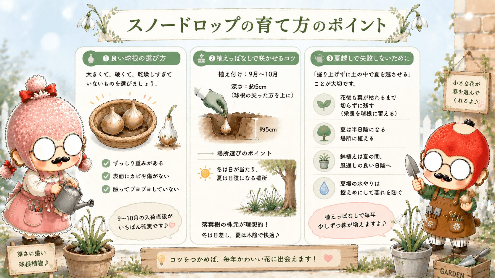 スノードロップの育て方
