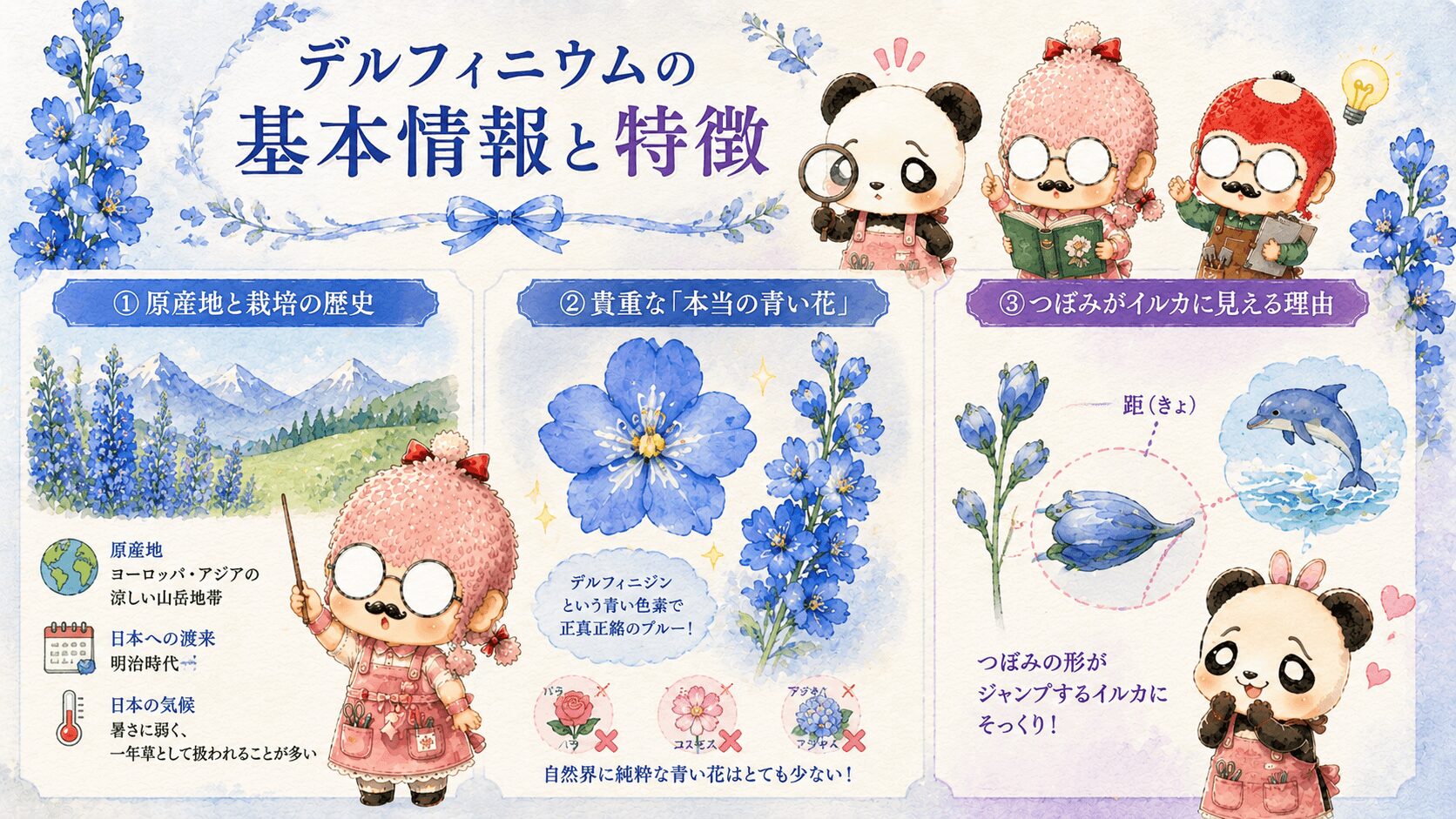 デルフィニウムの基本情報