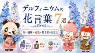 デルフィニウムの花言葉7選｜怖い意味・毒性・贈る前の注意点
