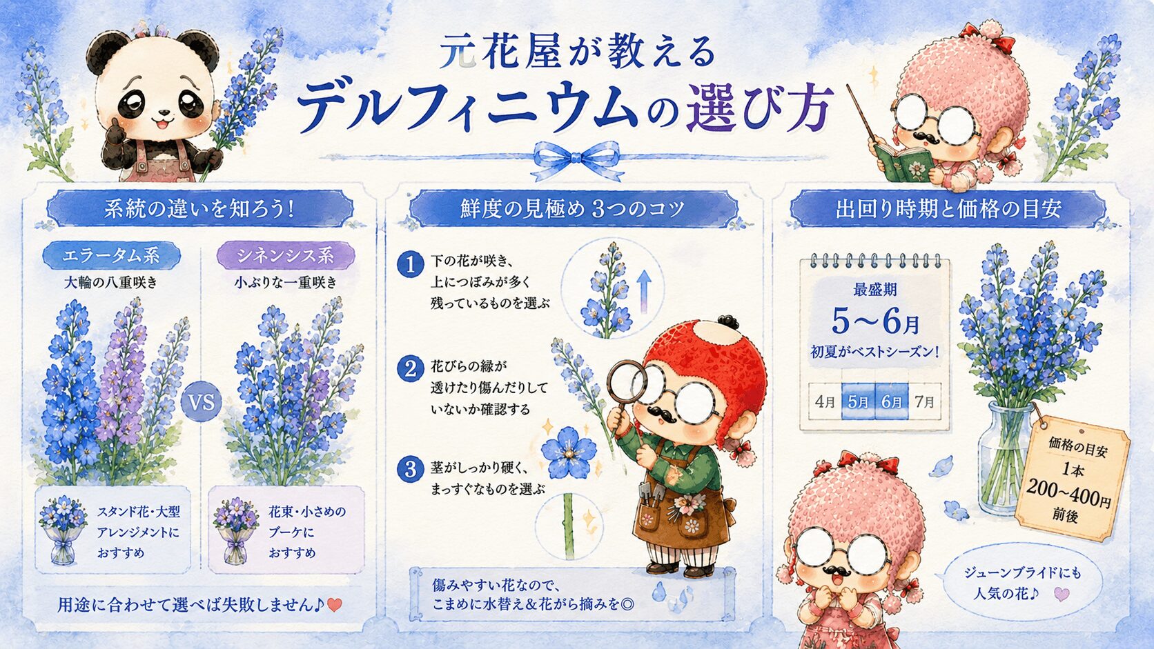 デルフィニウムの選び方