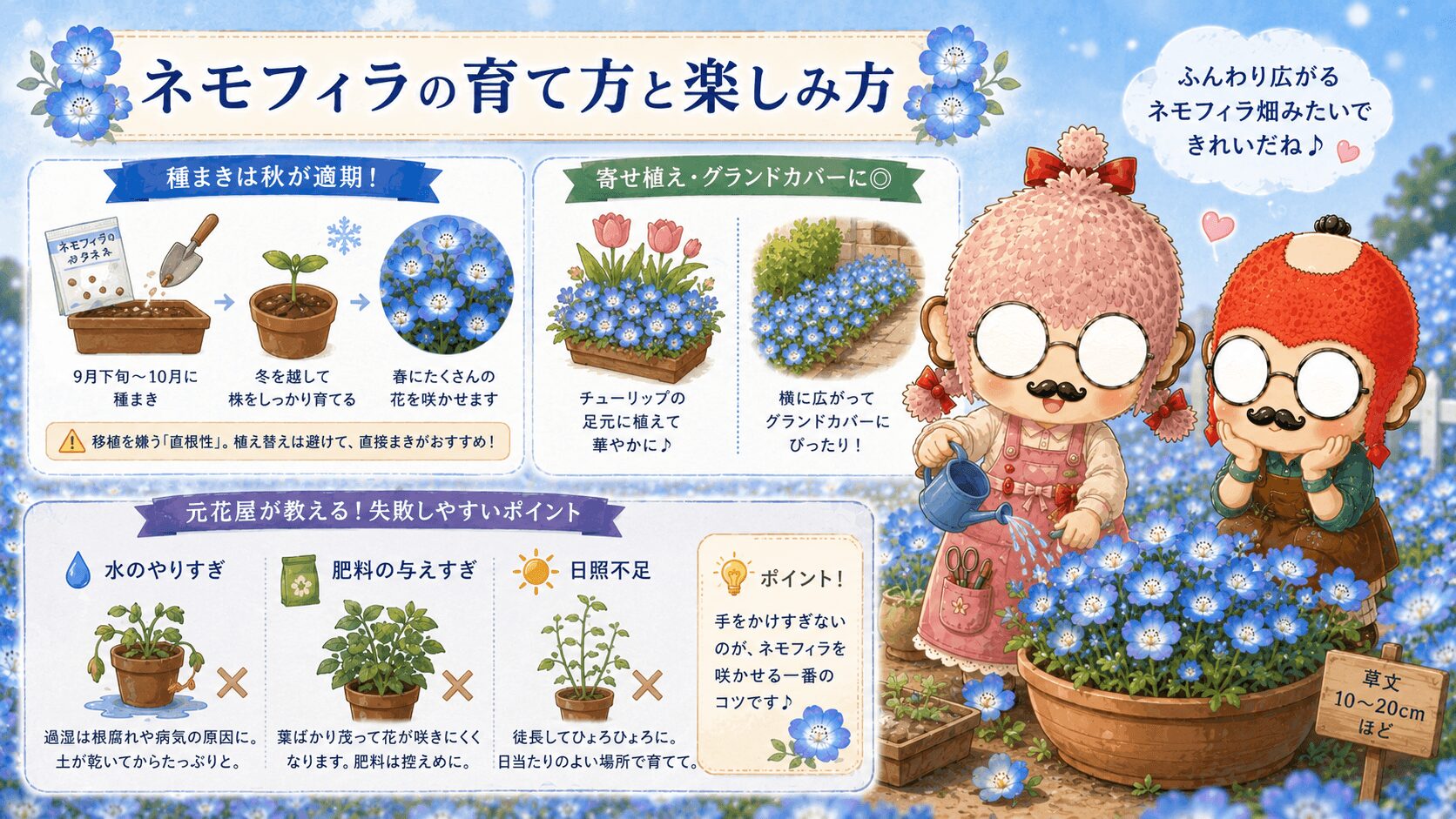 ネモフィラの育て方