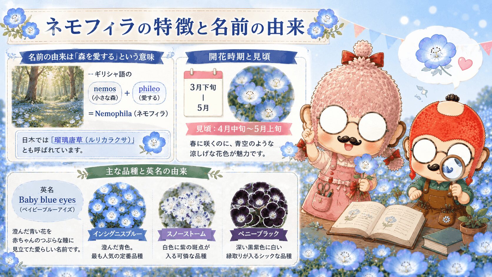 ネモフィラの魅力