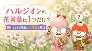 ハルジオンの花言葉は1つだけ?怖いとされる理由を元花屋が解説