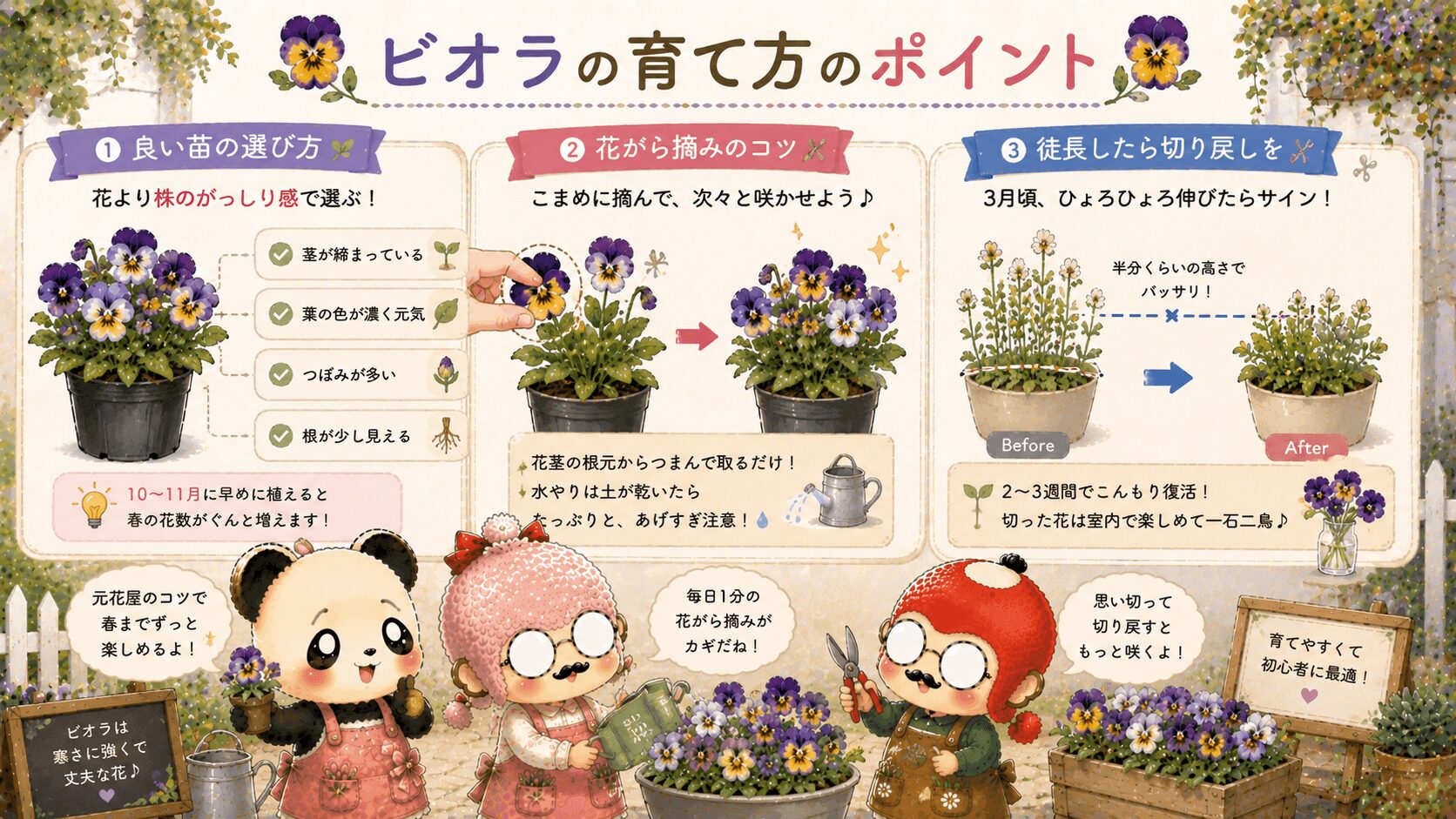 ビオラの育て方