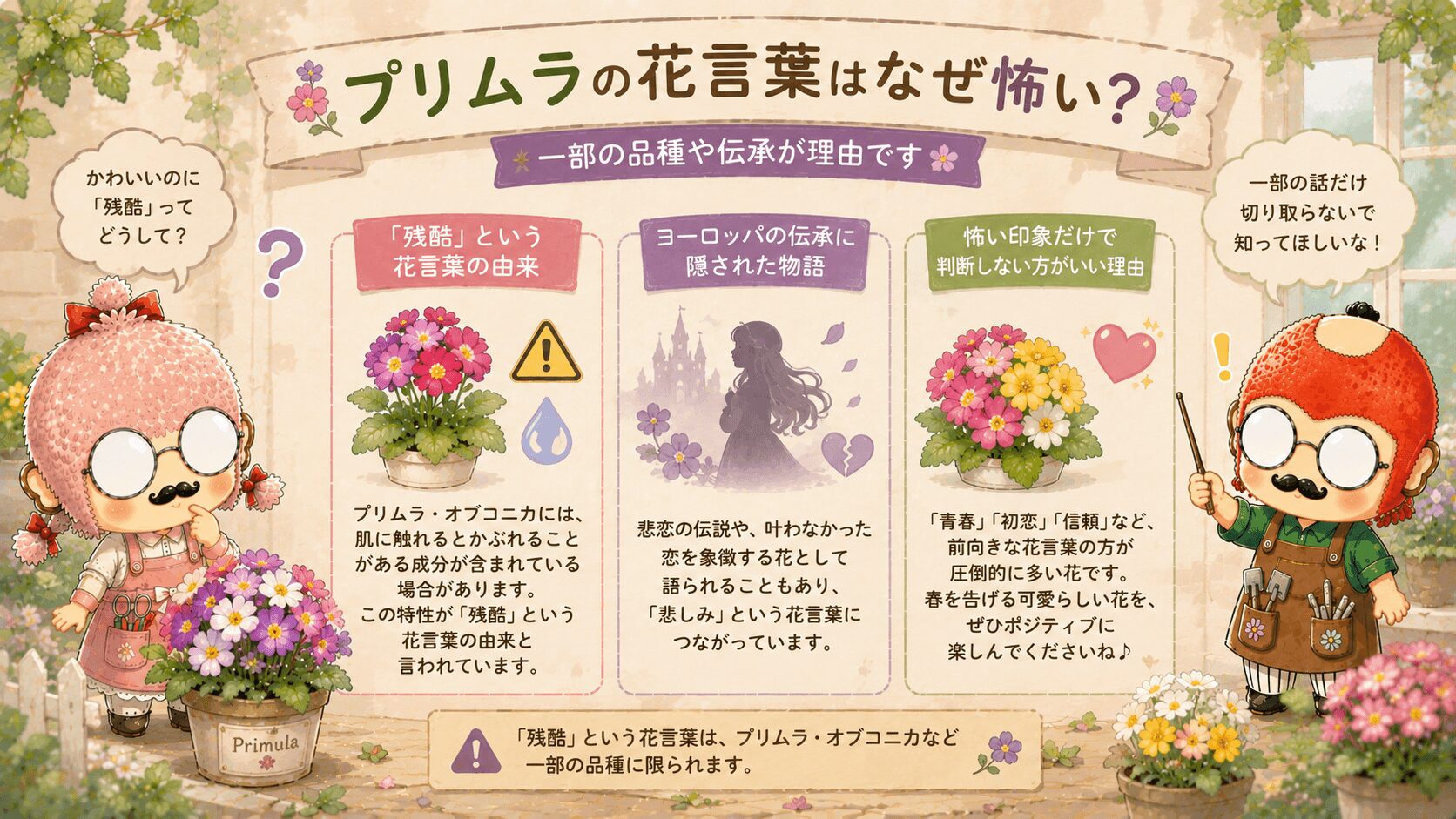 プリムラの花言葉は怖い？