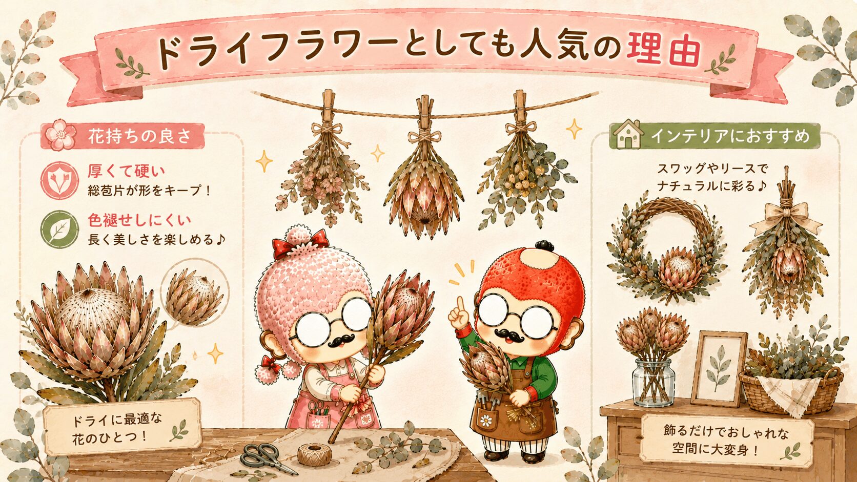 プロテアとドライフラワー