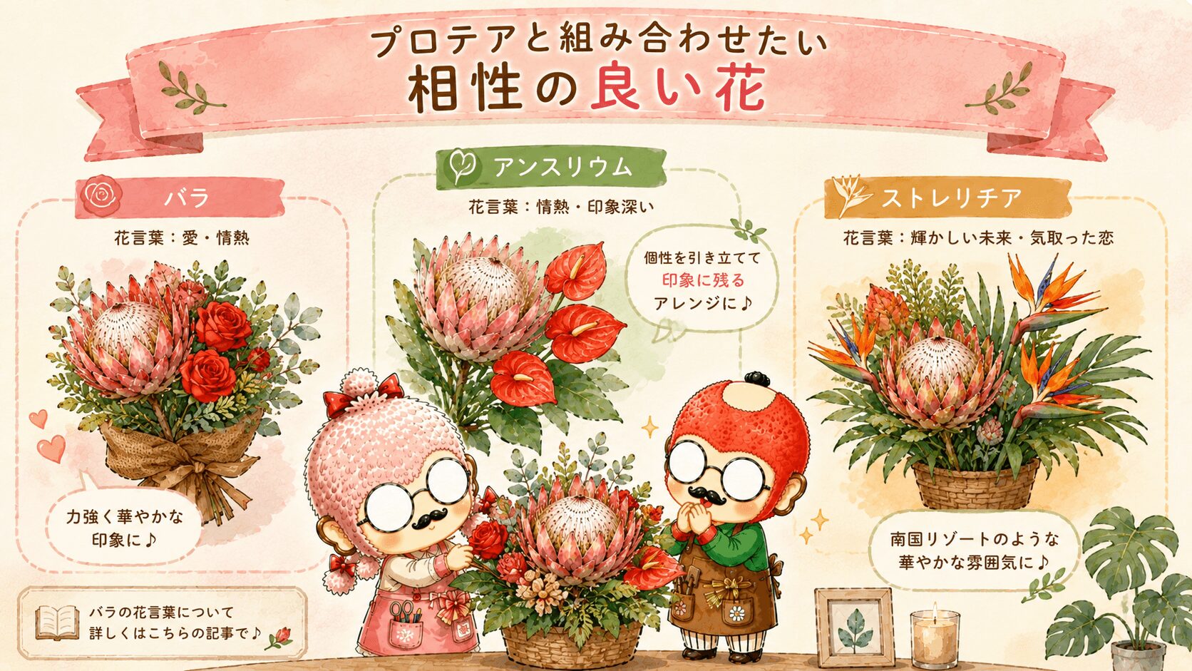 プロテアと相性の良い花々