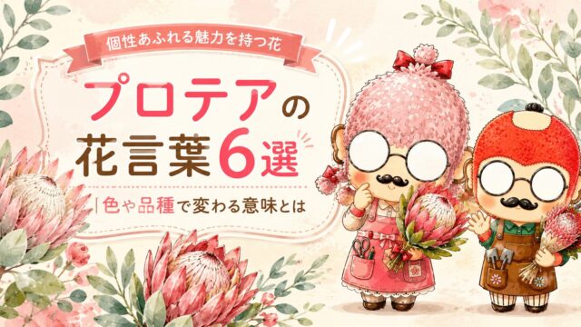 プロテアの花言葉6選|色や品種で変わる意味とは