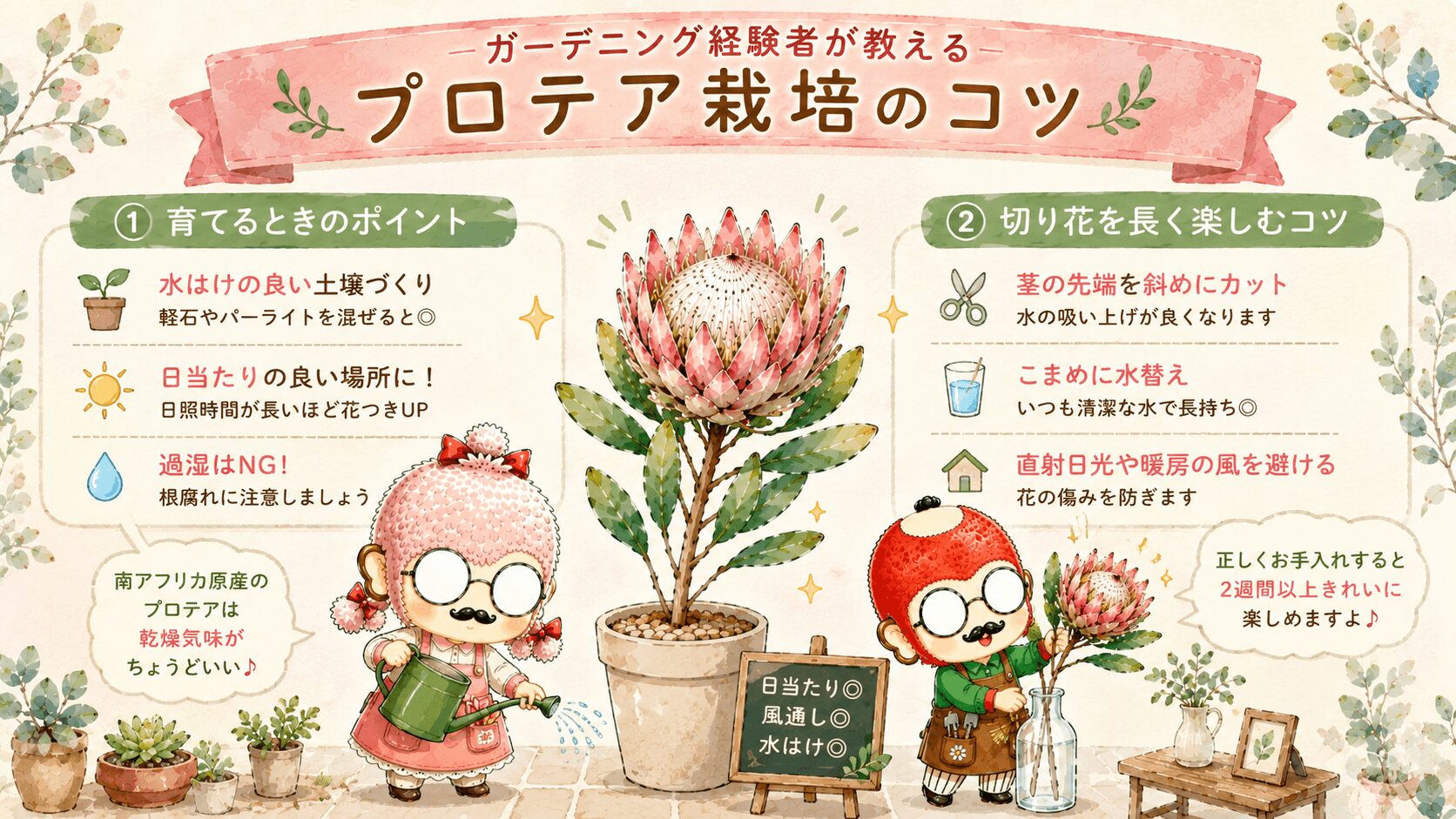 プロテア栽培のコツ