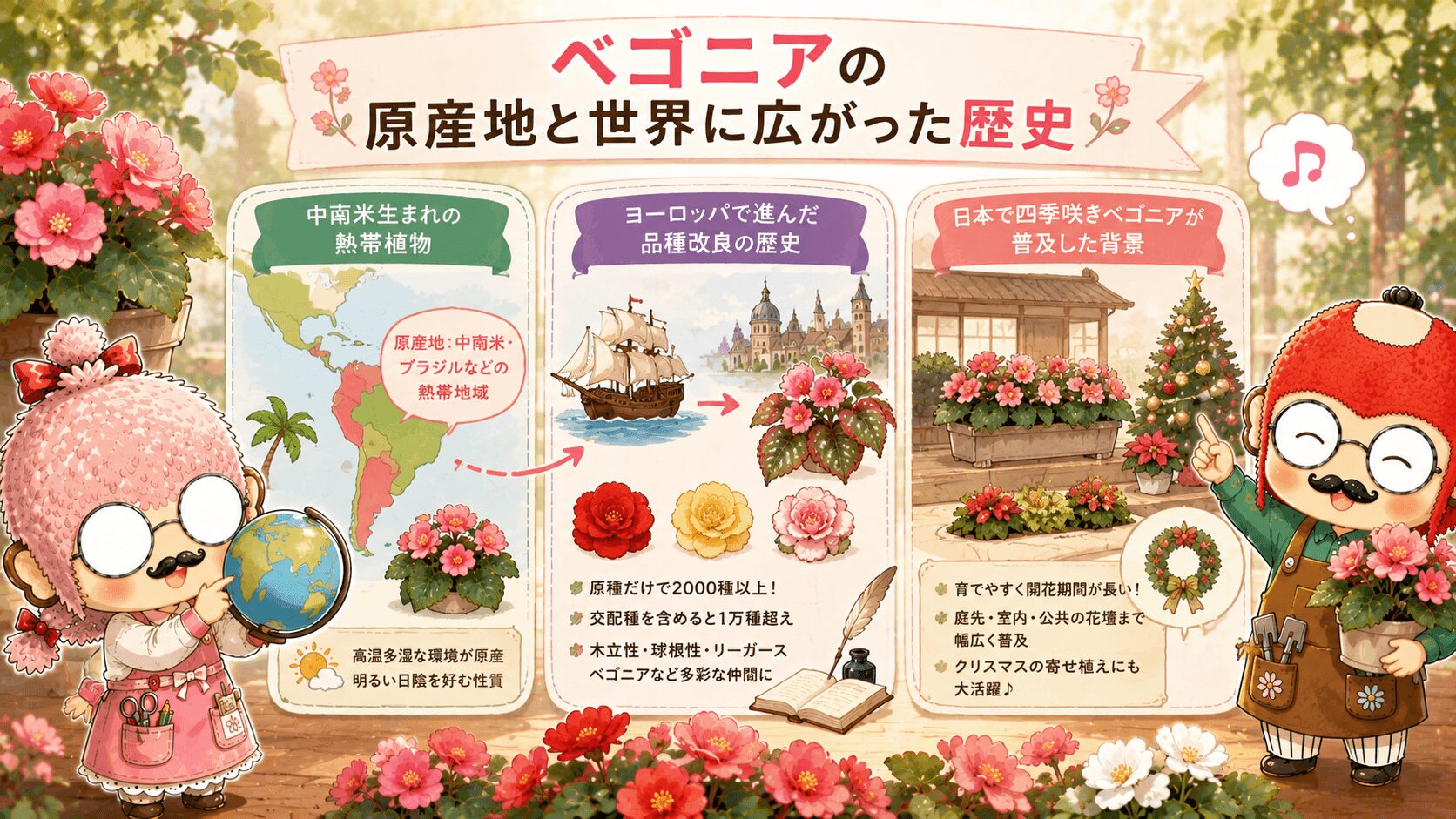 ベゴニアの世界史と育て方