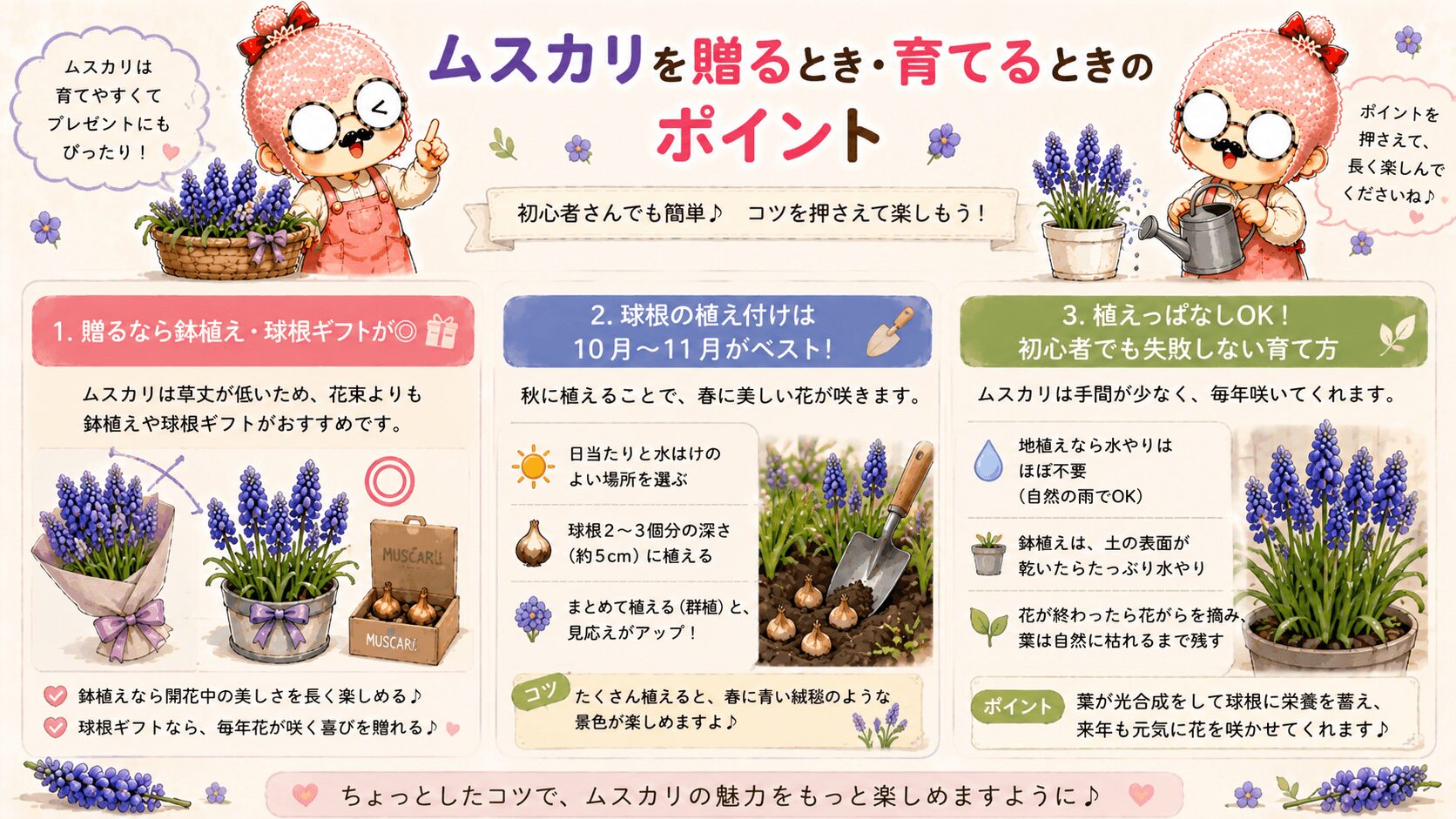 ムスカリの育て方