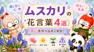 ムスカリの花言葉4選|通じ合う心・明るい未来・怖い意味の由来