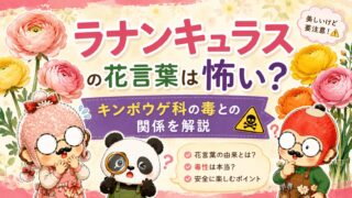ラナンキュラスの花言葉は怖い?キンポウゲ科の毒との関係を解説