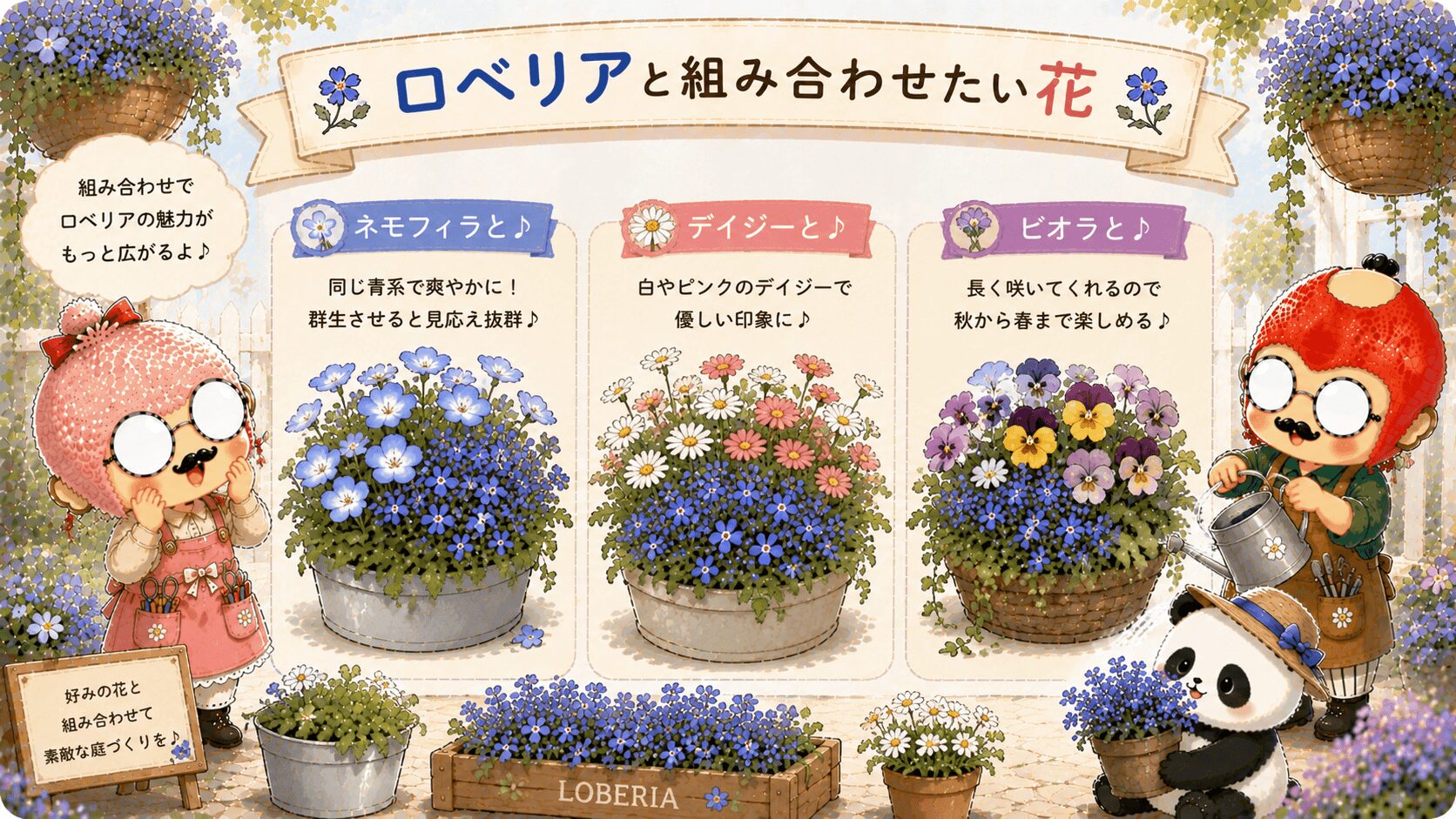 ロベリアとの花の組み合わせ