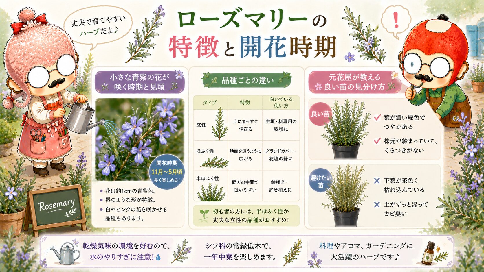 ローズマリーの特徴と開花時期