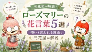 ローズマリーの花言葉5選|怖いと言われる理由を元花屋が解説