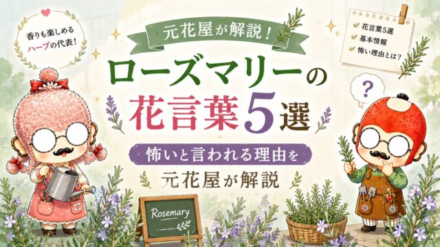 ローズマリーの花言葉5選|怖いと言われる理由を元花屋が解説