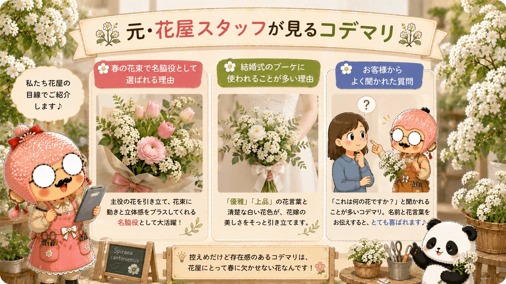 元花屋目線で見るコデマリの魅力
