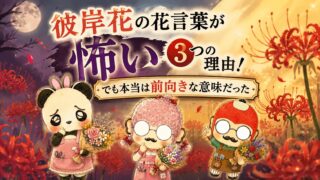 彼岸花の花言葉が怖い3つの理由！でも本当は前向きな意味だった