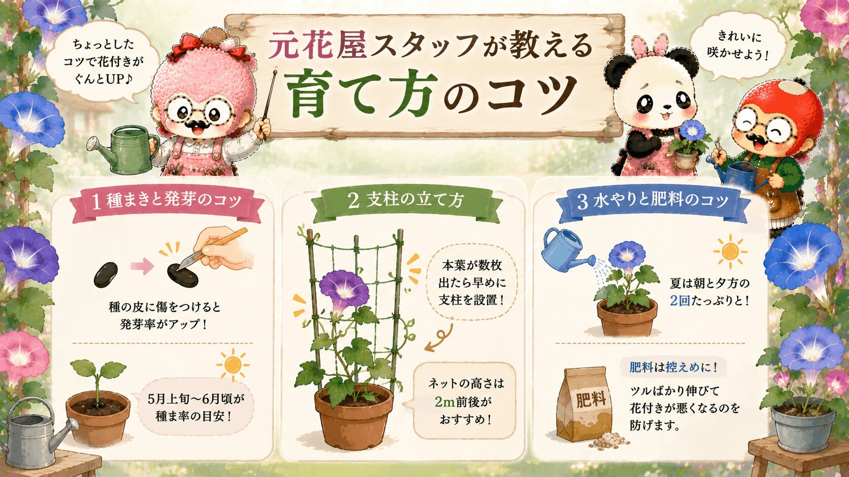 朝顔の育て方のコツ