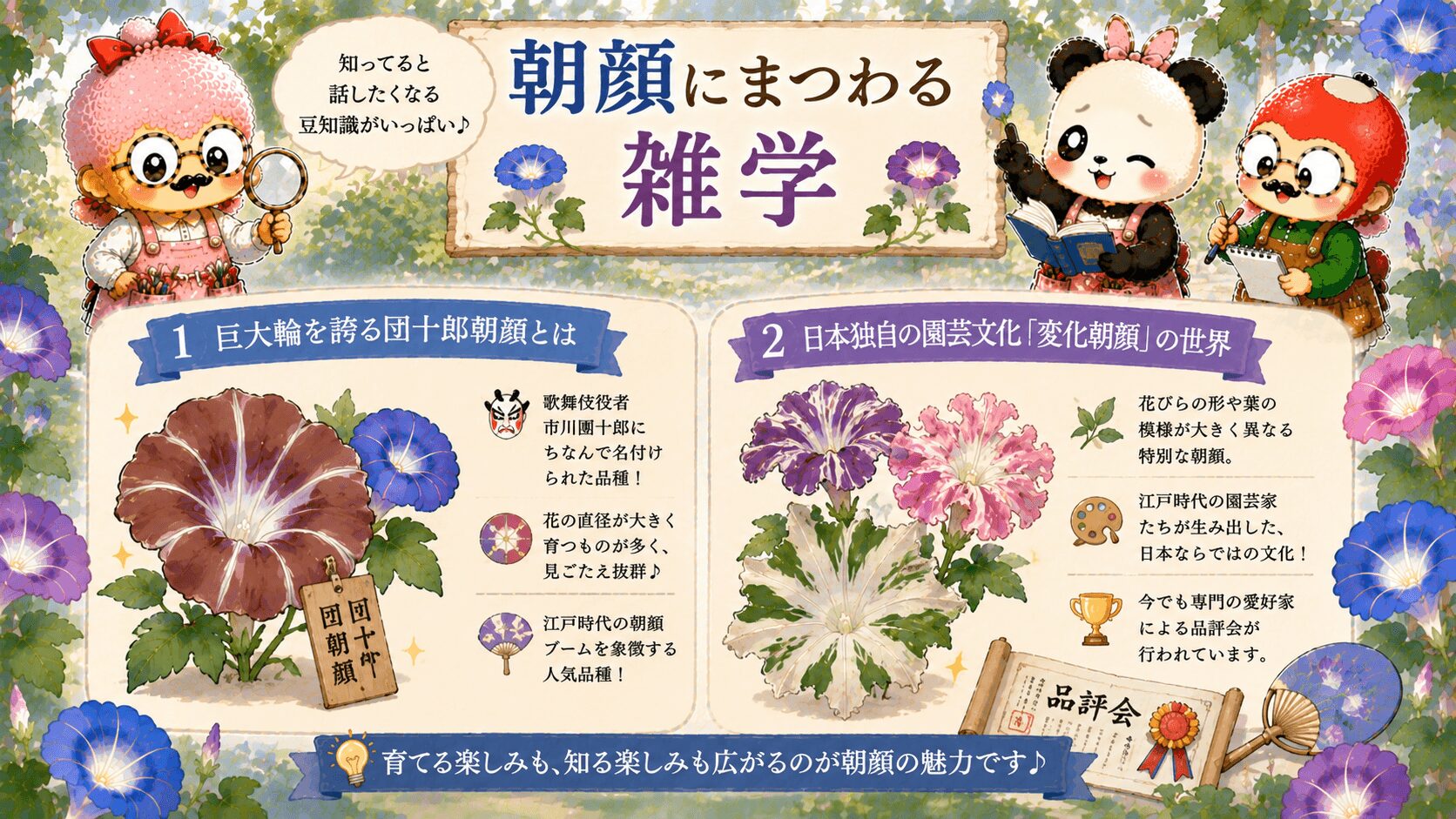 朝顔の雑学