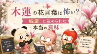 木蓮の花言葉は怖い？「威厳」に込められた本当の意味
