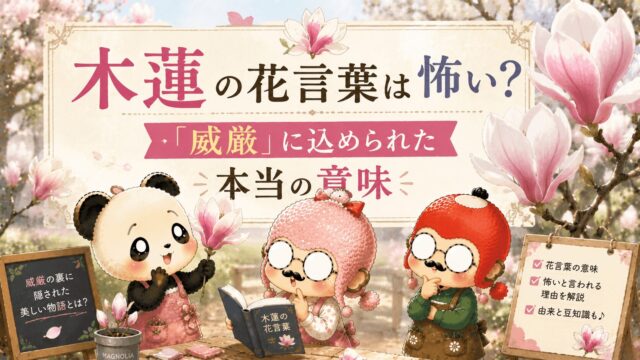 木蓮の花言葉は怖い？「威厳」に込められた本当の意味