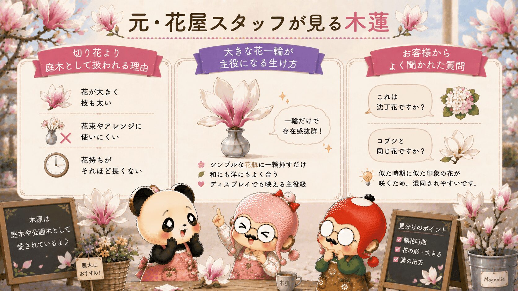 木蓮の魅力を学ぶ