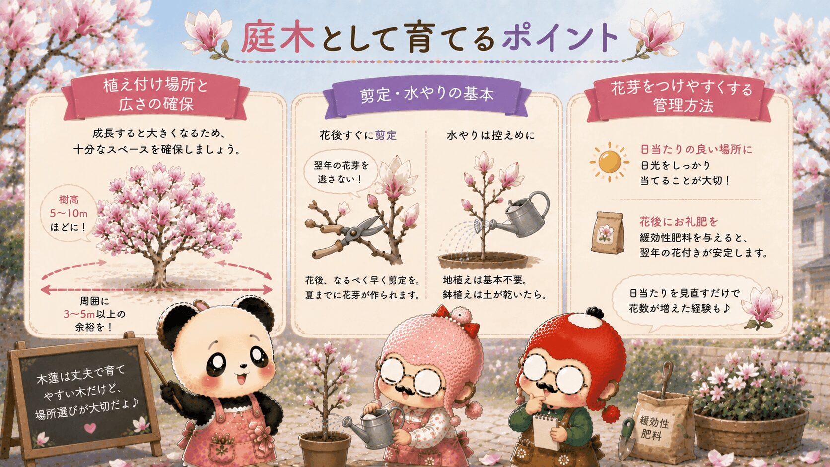 木蓮を庭木で育てるポイント