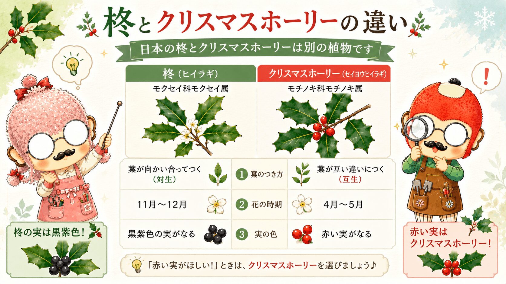 柊とクリスマスホーリーの違い
