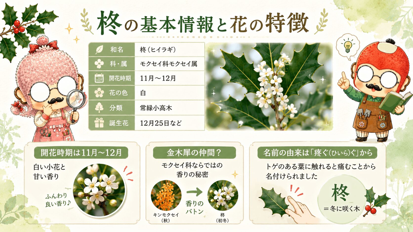 柊の基本情報