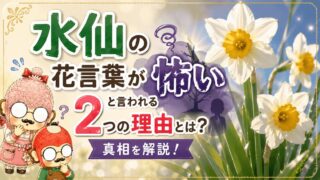 水仙の花言葉が怖いと言われる2つの理由とは？真相を解説！