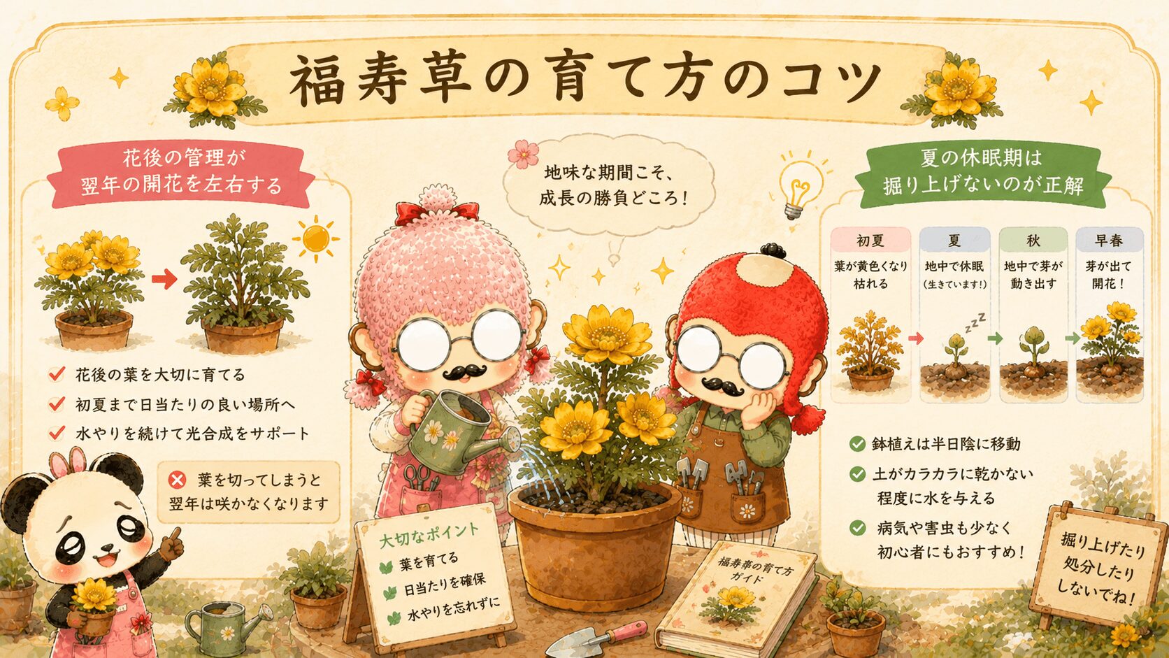 福寿草の育て方
